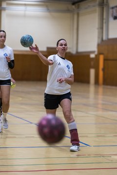 Bild 128 - F TSV Ellerau - HSG Tills Loewen 08 : Ergebnis: 16:18
